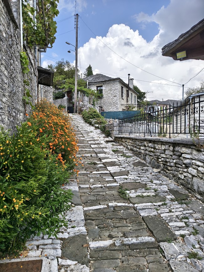 image (13)